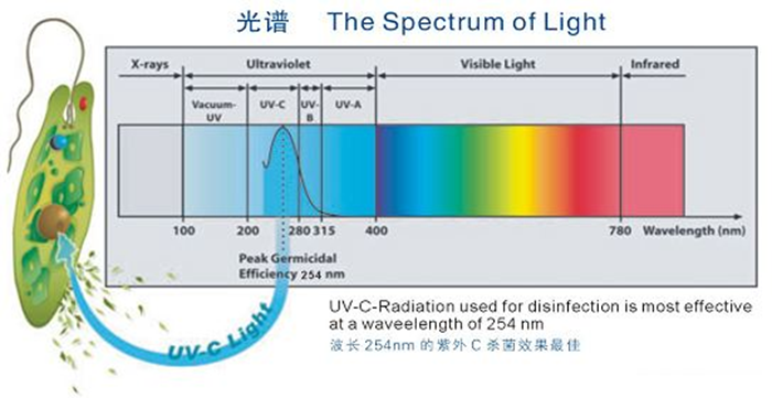 科普！紫外線殺菌燈對人體影響及正確使用方法